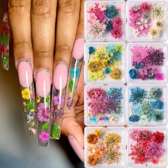 1Box Nail Art Flower Decoration Delicate 3D Dried Flower Nail Charms Art Stickers Nail Art Beauty For Charms Accessories