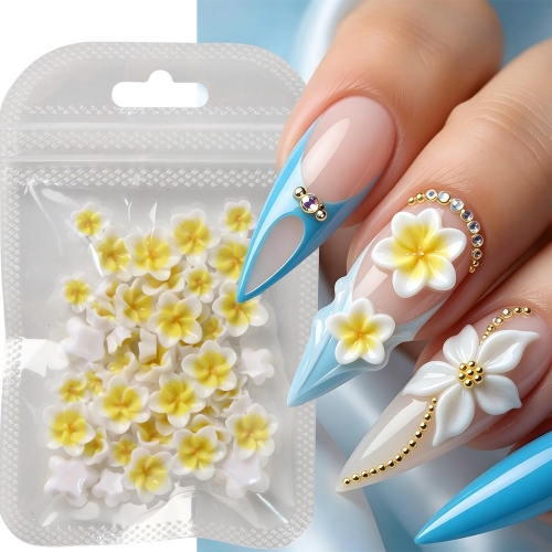 50pcs/bag or 100pcs/bag Mixed 3D Plumeria Nail Charms Hawaii Frangipani Tropical Floral Resin Nail Art Decor DIY Summer Manicure Accessories