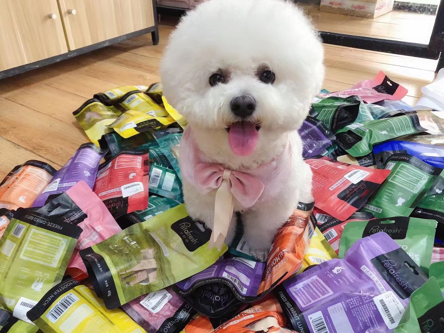 Designing Your Perfect Pet Food Bags