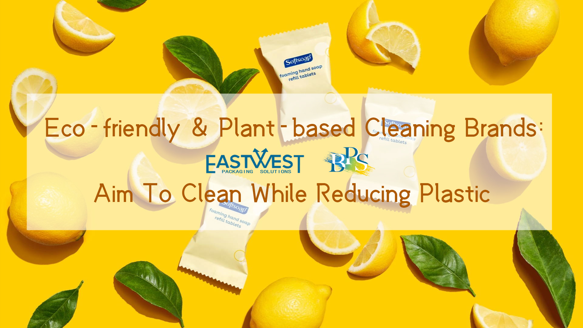 Eco-friendly & Plant-based Cleaning Brands: Aim To Clean While Reducing Plastic