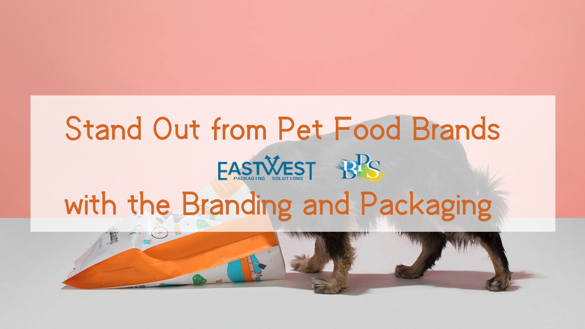 Stand Out from Pet Food Brands with the Branding and Packaging