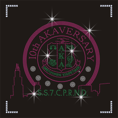 Bling AKA Designs Heat Transfer Custom Rhinestone Transfer Iron on for T shirt