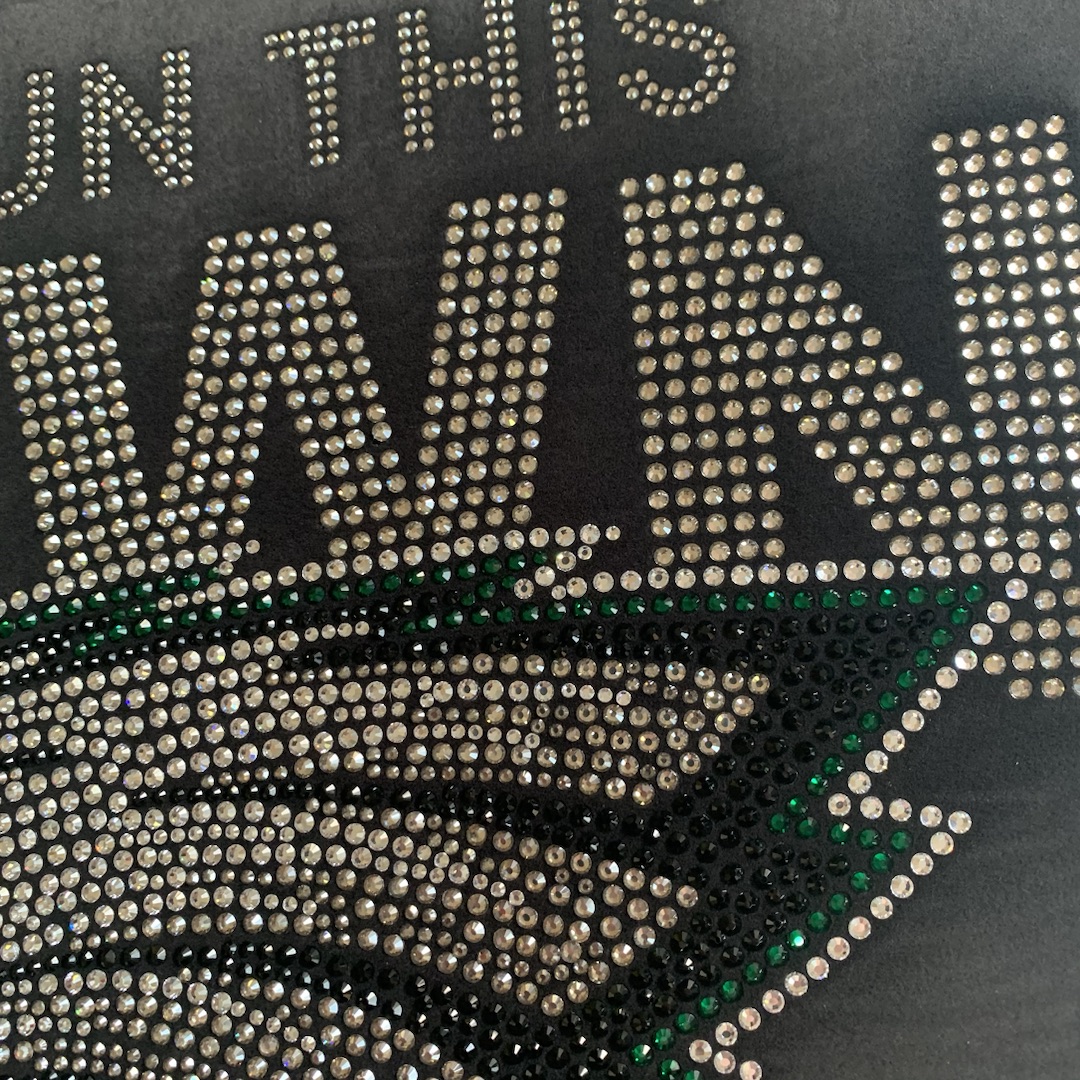 Fast Delivery Hotfix Bling Philadelphia Eagles Rhinestone Iron on Design Transfers