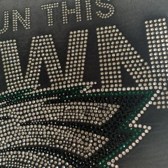 Fast Delivery Hotfix Bling Philadelphia Eagles Rhinestone Iron on Design Transfers
