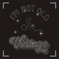 Custom Slogen Hot Fix Rhinestones Transfers Iron On Patches