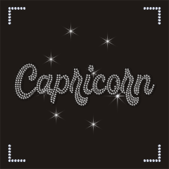 Custom Twelve Constellations Capricorn Design Rhinestone Transfers