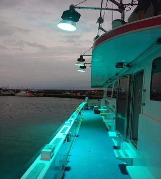 The Led Fishing Lamp of Bozhou