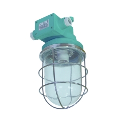 IMPA 792059 792060 Resin Pendant Light 220V/100W | DS7-3M