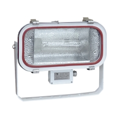 Stainless Steel Marine Flood Light R7s 1000W | TG67