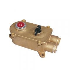 Brass Marine Power Switch Indicator Light 250V/10A | HSD2-2