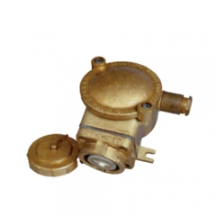 Brass Ex de IIC T6 250V/16A Explosion-proof Socket | DCZH202-1