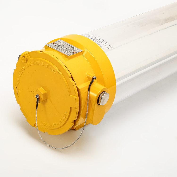 Marine Ex Proof Fluorescent CFY20 2L Zhejiang Bozhou Marine