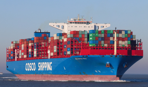 COSCO SHIPPING VIRGO Anchor For Several Days Because Of Losing Momentum