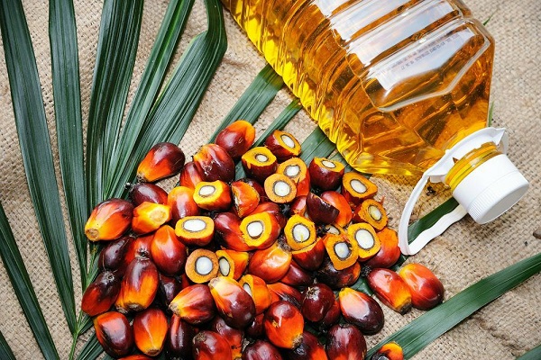 Indonesian Edible Oil Export Ban