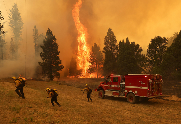 US FOREST FIRE