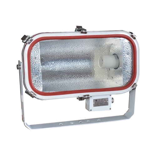 Stainless Steel Marine Flood Light E40 1000W | TG4