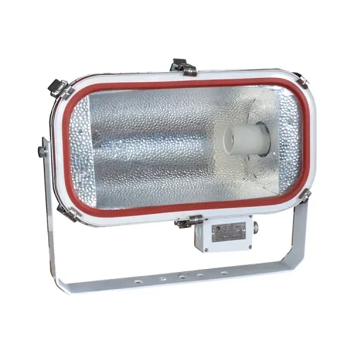 Stainless Steel Marine Flood Light E40 1000W | TG4