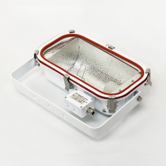 Stainless Steel Marine Flood Light E40 1000W | TG4