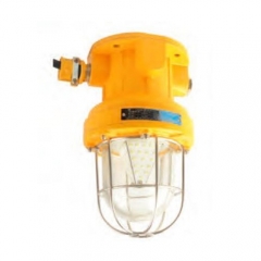 Aluminum LED 30W Explosion Proof Pendant Light | CFD1-L