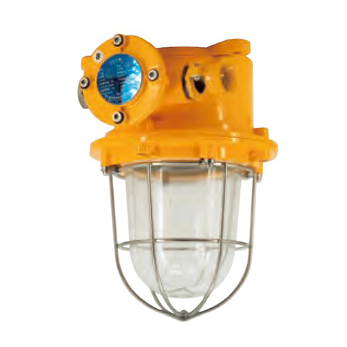 Aluminum E27 100W Explosion Proof Pendant Light | CFD4