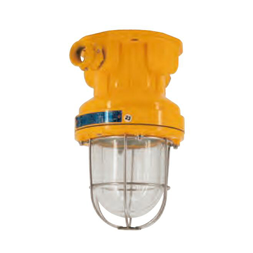 Aluminum E27 100W Explosion Proof Pendant Light | CFD1