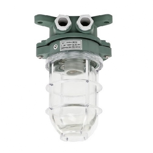 IMPA 792057 792058 Resin Pendant Light 220V/60W | DS7-2M