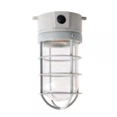 Aluminum Cold Sotrage Work Light 220V 60W | CCD16