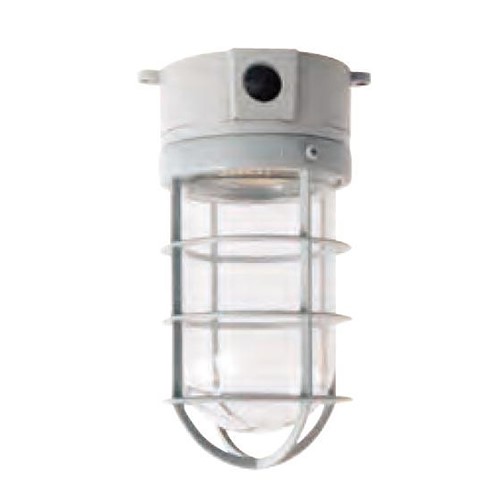 Aluminum Cold Sotrage Work Light 220V 60W | CCD16