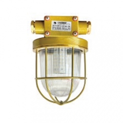 LED Brass Marine Work Light 12-24V 85-265V 12W | CCD9-5L