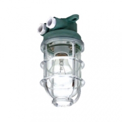 Plastic Marine Pendant Work Light E27 220V 1x60W | CCD6-2