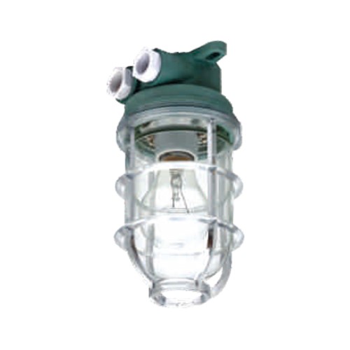 Plastic Marine Pendant Work Light E27 220V 1x60W | CCD6-2