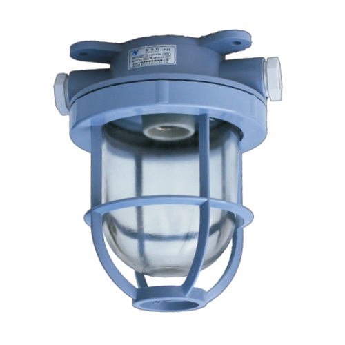 Plastic Marine Pendant Work Light E27 220V 1x60W | CCD1-2A