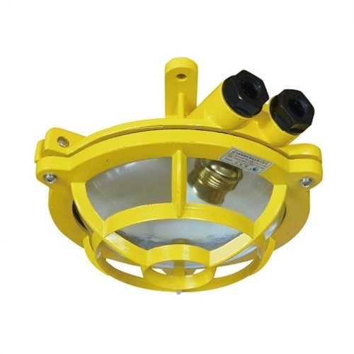 Aluminum Marine Pendant Work Light E27 220V 1x60W | CCD4-1