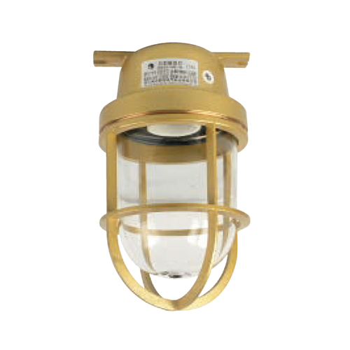 Brass Marine Pendant Work Light E27 220V 1x60W | CCD15-2