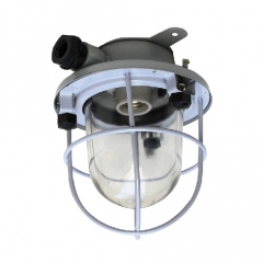 Steel Marine Pendant Work Light E27 220V 1x60W | CCD1-2