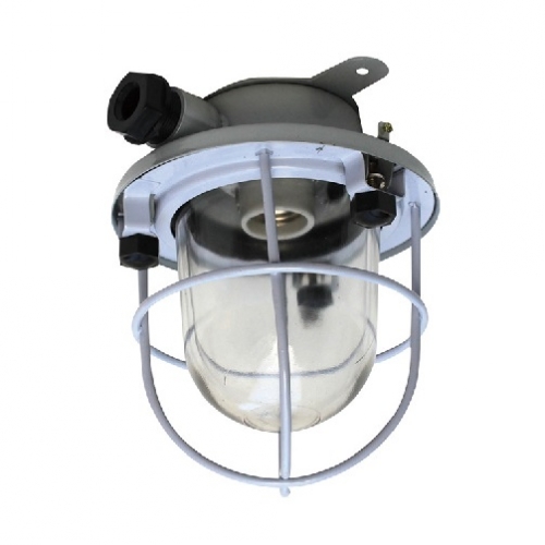 Steel Marine Pendant Work Light E27 220V 1x60W | CCD1-2