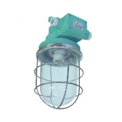 IMPA 792059 792060 Resin Pendant Light 220V/100W | DS7-3M