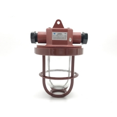 Plastic Marine Pendant Work Light E27 220V 1x60W | CCD9-3-2