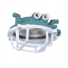 IMPA 792066 Resin Pendant Light FE26 220V/60W | W