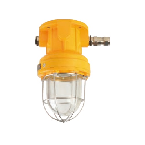 Aluminum E27 100W Explosion Proof Pendant Light | CFD1