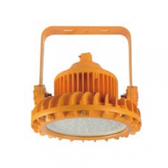 Aluminum LED Explosion Proof Pendant Light 200W | CFT5
