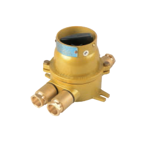Brass Explosion Proof Switch Exd IIC T6 250V/16A | DCHH202-2A