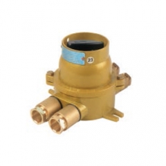 Brass Explosion Proof Switch Exd IIC T6 250V/16A | DCHH202-4