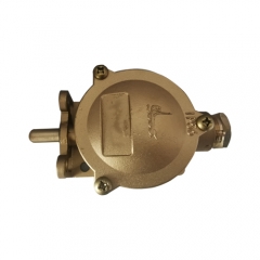 Brass Marine Limited Switch 250V/10A | AX