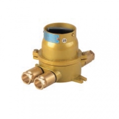 Brass Explosion Proof Switch Exd IIC T6 250V/16A | DCHH202-3