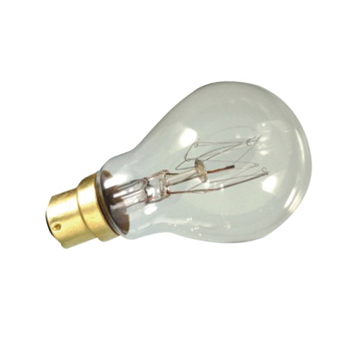 Incandescent Bulb | B22d | 60W 100W