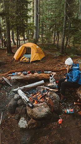 Camping BBQ