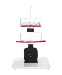 Red Starfish Protein Skimmer— C Plus Series