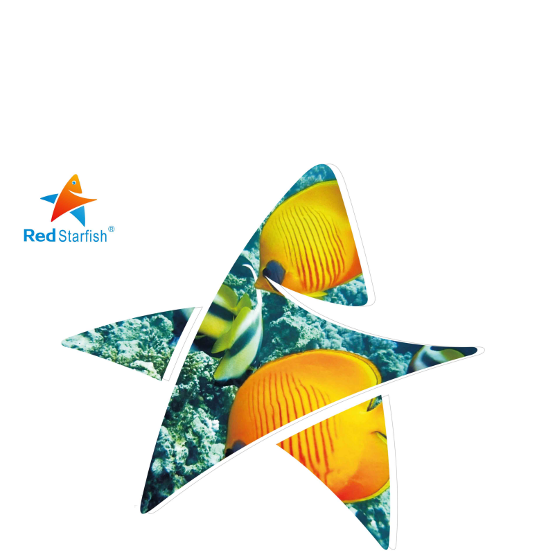 2-Red Starfish price list - cn