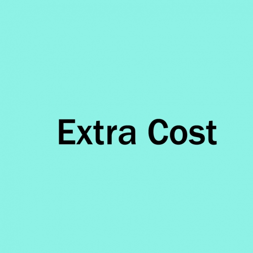 Extra Delivery Cost Custom Made Cost